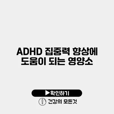 ADHD 집중력 향상에 도움이 되는 영양소