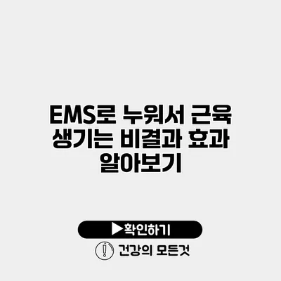 EMS로 누워서 근육 생기는 비결과 효과 알아보기