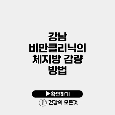 강남 비만클리닉의 체지방 감량 방법