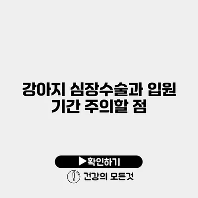 강아지 심장수술과 입원 기간 주의할 점