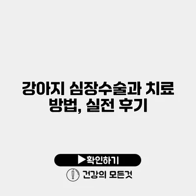 강아지 심장수술과 치료 방법, 실전 후기