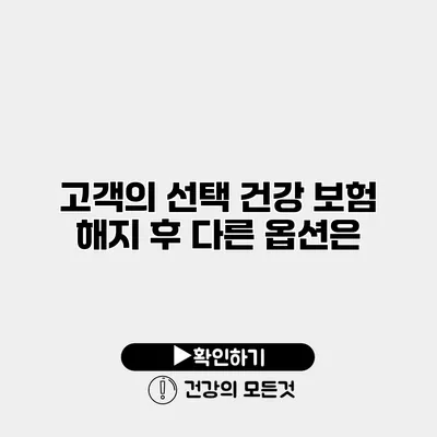 고객의 선택 건강 보험 해지 후 다른 옵션은?