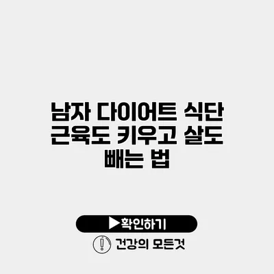 남자 다이어트 식단 근육도 키우고 살도 빼는 법