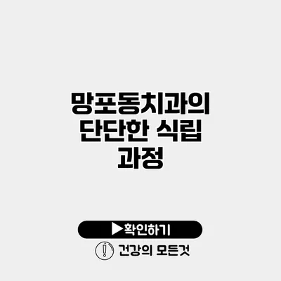 망포동치과의 단단한 식립 과정