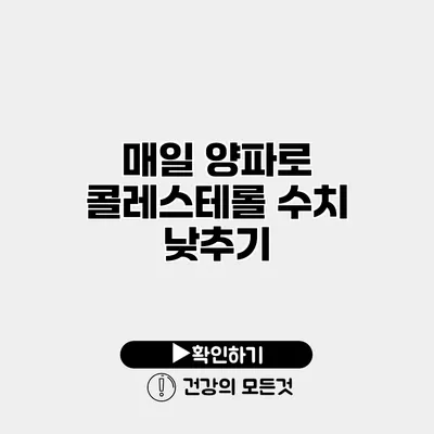 매일 양파로 콜레스테롤 수치 낮추기