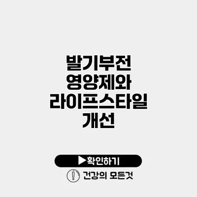 발기부전 영양제와 라이프스타일 개선