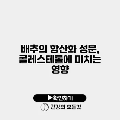 배추의 항산화 성분, 콜레스테롤에 미치는 영향