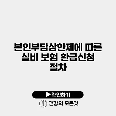 본인부담상한제에 따른 실비 보험 환급신청 절차
