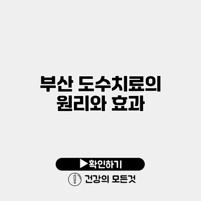 부산 도수치료의 원리와 효과