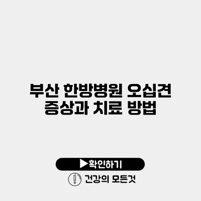 부산 한방병원 오십견 증상과 치료 방법