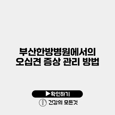 부산한방병원에서의 오십견 증상 관리 방법