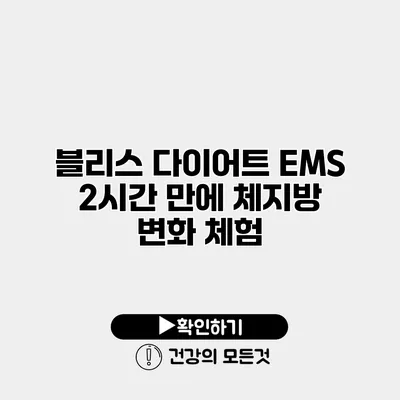 블리스 다이어트 EMS 2시간 만에 체지방 변화 체험