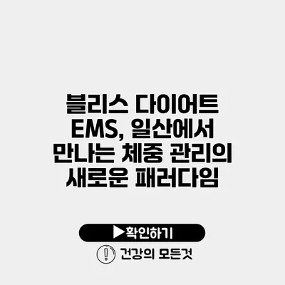 블리스 다이어트 EMS, 일산에서 만나는 체중 관리의 새로운 패러다임