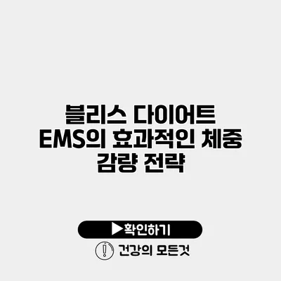 블리스 다이어트 EMS의 효과적인 체중 감량 전략