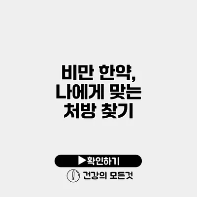 비만 한약, 나에게 맞는 처방 찾기