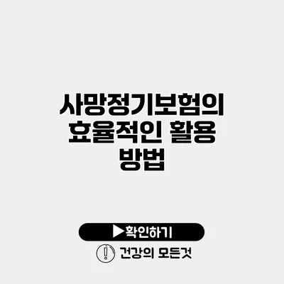 사망정기보험의 효율적인 활용 방법