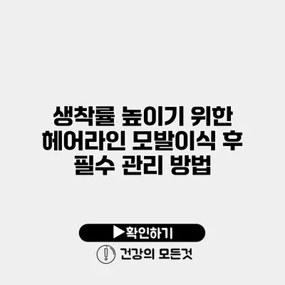 생착률 높이기 위한 헤어라인 모발이식 후 필수 관리 방법