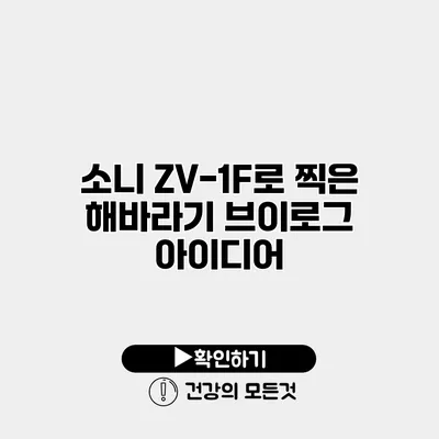 소니 ZV-1F로 찍은 해바라기 브이로그 아이디어