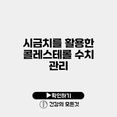 시금치를 활용한 콜레스테롤 수치 관리