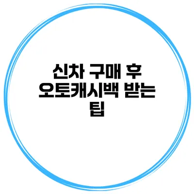 신차 구매 후 오토캐시백 받는 팁