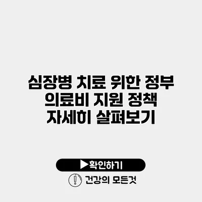 심장병 치료 위한 정부 의료비 지원 정책 자세히 살펴보기