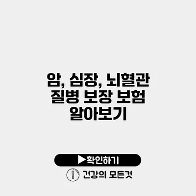 암, 심장, 뇌혈관 질병 보장 보험 알아보기