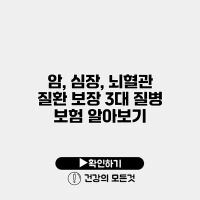 암, 심장, 뇌혈관 질환 보장 3대 질병 보험 알아보기