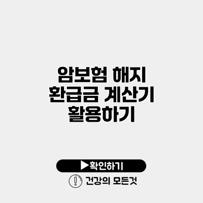 암보험 해지 환급금 계산기 활용하기