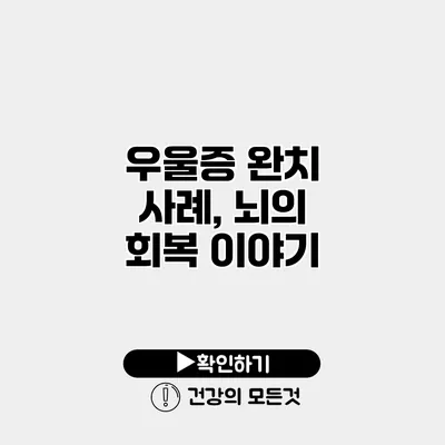 우울증 완치 사례, 뇌의 회복 이야기
