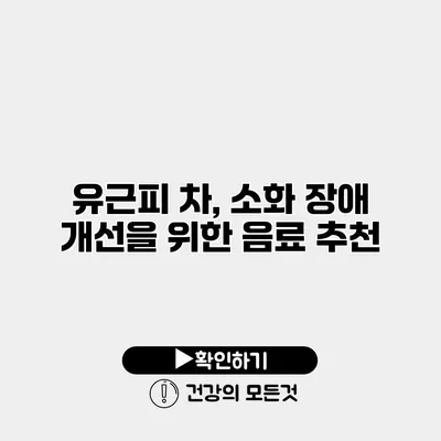 유근피 차, 소화 장애 개선을 위한 음료 추천