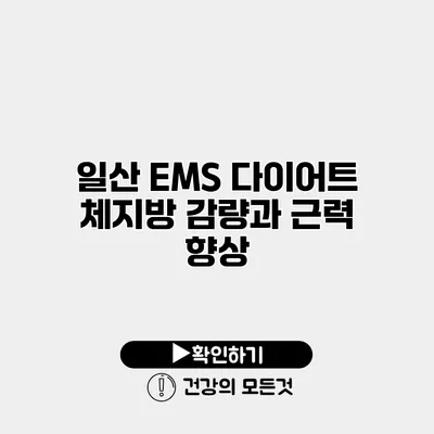 일산 EMS 다이어트 체지방 감량과 근력 향상