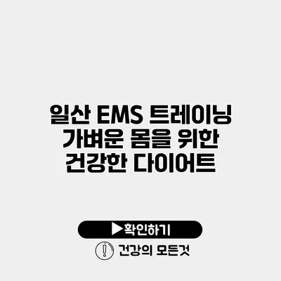 일산 EMS 트레이닝 가벼운 몸을 위한 건강한 다이어트