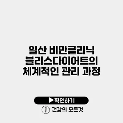 일산 비만클리닉 블리스다이어트의 체계적인 관리 과정