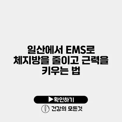 일산에서 EMS로 체지방을 줄이고 근력을 키우는 법