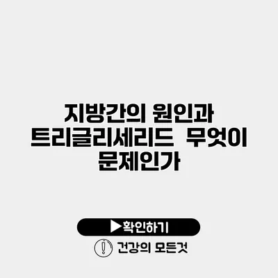 지방간의 원인과 트리글리세리드 무엇이 문제인가?