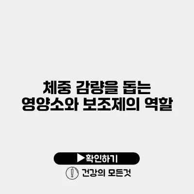 체중 감량을 돕는 영양소와 보조제의 역할