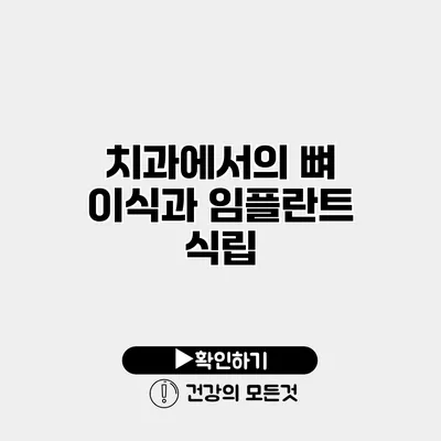 치과에서의 뼈 이식과 임플란트 식립