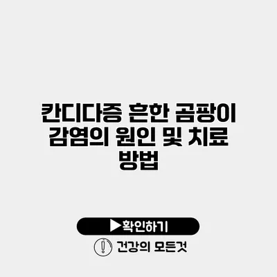 칸디다증 흔한 곰팡이 감염의 원인 및 치료 방법