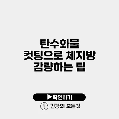 탄수화물 컷팅으로 체지방 감량하는 팁