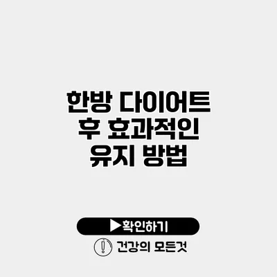 한방 다이어트 후 효과적인 유지 방법