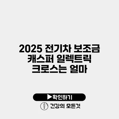 2025 전기차 보조금 캐스퍼 일렉트릭 크로스는 얼마?