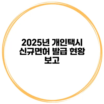 2025년 개인택시 신규면허 발급 현황 보고