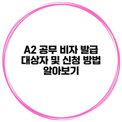 A2 공무 비자 발급 대상자 및 신청 방법 알아보기