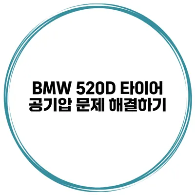 BMW 520D 타이어 공기압 문제 해결하기