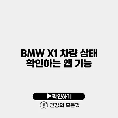 BMW X1 차량 상태 확인하는 앱 기능