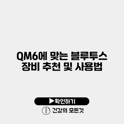 QM6에 맞는 블루투스 장비 추천 및 사용법
