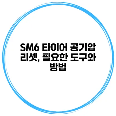 SM6 타이어 공기압 리셋, 필요한 도구와 방법