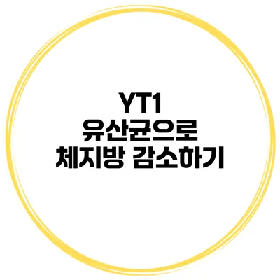 YT1 유산균으로 체지방 감소하기