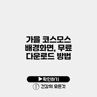 가을 코스모스 배경화면, 무료 다운로드 방법