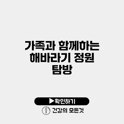 가족과 함께하는 해바라기 정원 탐방